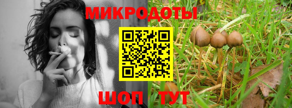 Киселёвск  Псилоцибиновые грибы Psilocybe  Вход с VPN  купить закладку  Псилоцибиновые грибы прущие грибы 