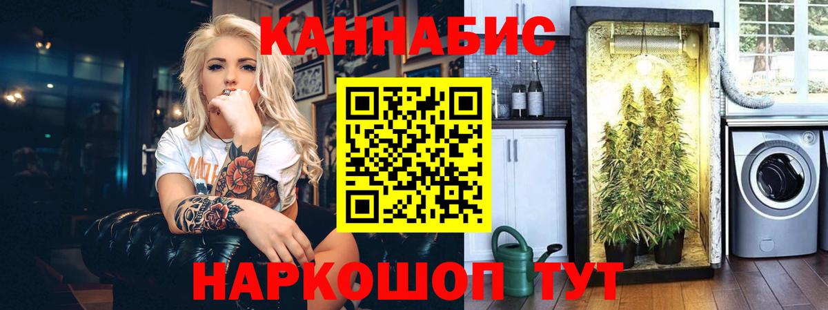 Бошки Шишки гибрид  Канабис гибрид  Марихуана конопля  Киселёвск  МАРИХУАНА VHQ  Вход с VPN 